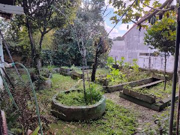 Horta