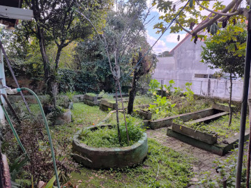 Horta